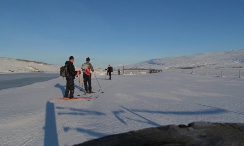 Bakkar Eyjafjarðarár: Ferð fyrir alla á gönguskíðum