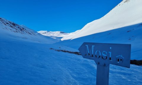 Mosi í Böggvisstaðadal: Skíðaganga