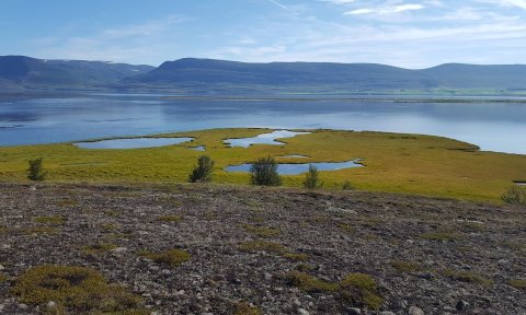 Gönguvika: Gásir og Skipalón
