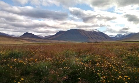 Elliði í Hjaltadal, Skagafirði