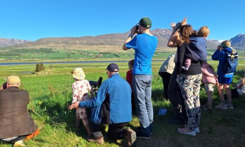 Barna- og fjölskylduferð. Fuglaskoðun