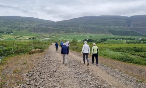 Tökum skrefið - vikulegar göngur hjá FFA