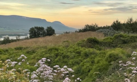 Söguferð 3/raðganga: Ófeigsstaðir í Kaldakinn – Helgastaðir í Reykjadal