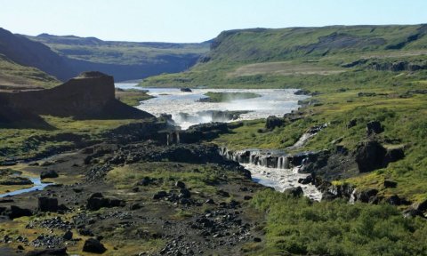 Forvöð - Hallhöfðaskógur Öxarfirði