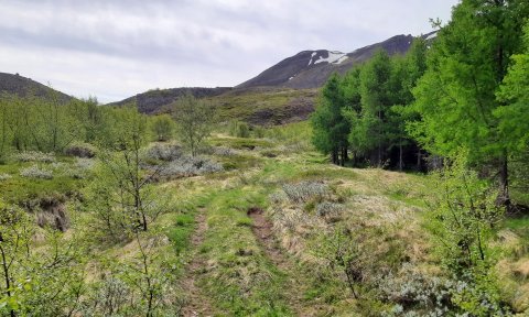 Skuggabjargaskógur: Rafhjólaferð á fjallahjóli