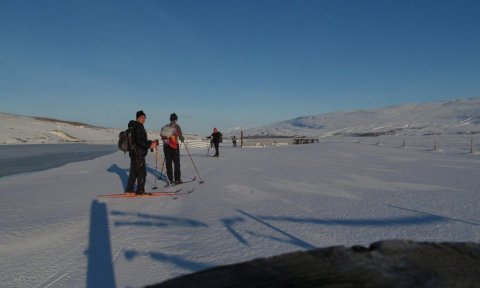 Bakkar Eyjafjarðarár