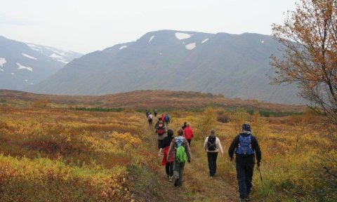 Skuggabjargaskógur - haustlitaferð