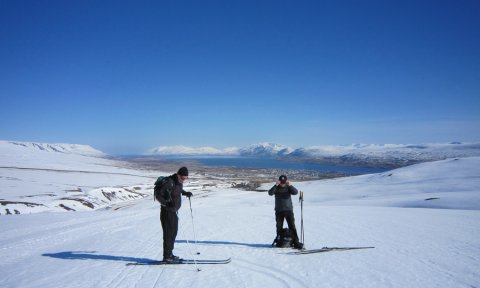 Súlumýrar: Skíðaganga -aflýst