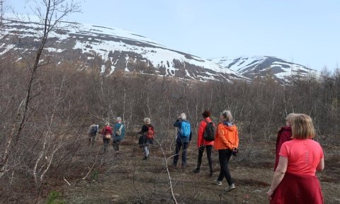 Jógaferð í Garðsárdal