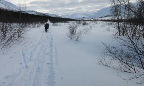 Illugastaðir-Sörlastaðir: Skíðaganga -aflýst