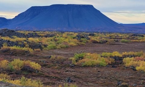 Búrfellshraun og nágrenni   