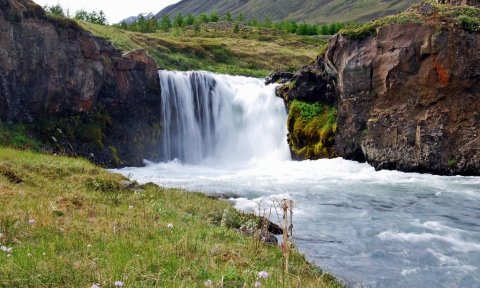 Fossagöngur með séra Svavari A. Jónssyni -aflýst