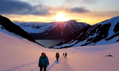 Gönguvika: Jónsmessuganga á Múlakollu