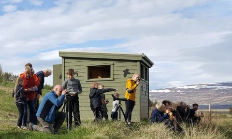 Barna- og fjölskylduferð: Fuglaskoðunarferð