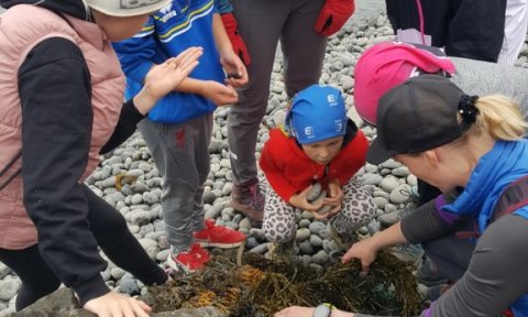 Barna- og fjölskylduferð: Fjöruferð í Veigastaðabás