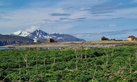 Flatey á Skjálfanda