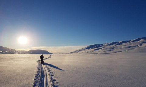 Gönguskíðaferð í Heiðarhús á Flateyjardal