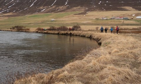 Friðland Svarfdæla - aflýst