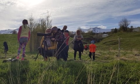 Barna- og fjölskylduferð: Fuglaskoðun