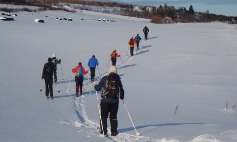 Galmaströnd: Gönguskíðaferð -aflýst