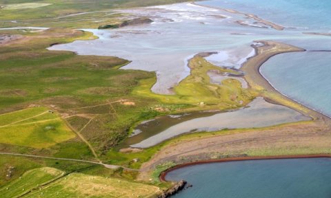 Gásir - fjöruferð