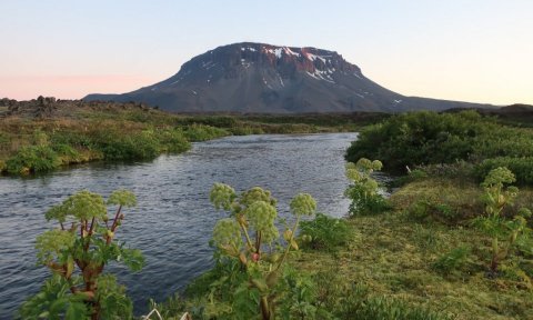 Helgarferð í Herðubreiðarlindir og Öskju - rútuferð