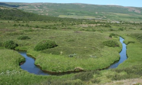 Söguferðir/raðganga: Gengið í fótspor Theódórs Friðrikssonar bréfapósts. Önnur ferð. Fnjóskadalur - Ljósavatn