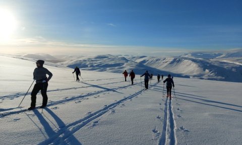 Utanbrautarskíði-framhaldsnámskeið