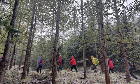 Gönguvika: Fálkafell - Gamli - Kjarni - Fálkafell