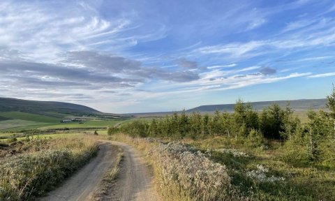 Opið hús hjá FFA: Nú er sumar í Köldukinn...