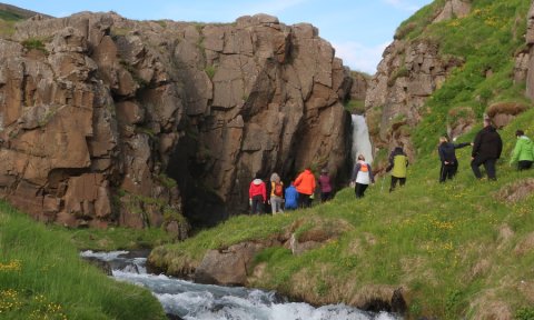 Barna- og fjölskylduferð: Miðvíkurfoss og fjöruferð