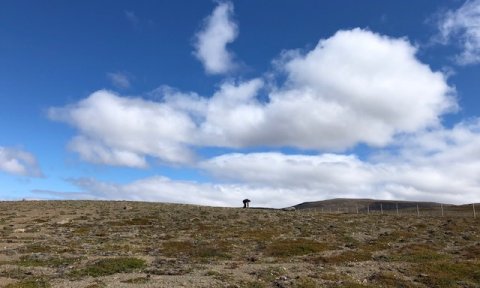 Laxárdalur í Austur-Húnavatnssýslu