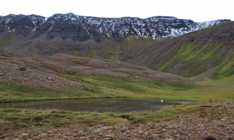 Barna- og fjölskylduferð: Nýphólstjörn - Veiðiferð