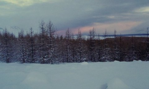 Hálsaskógur - létt fjölskylduferð á skíðum