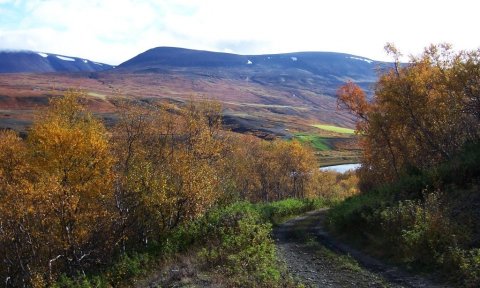 Skuggabjargaskógur - haustlitaferð