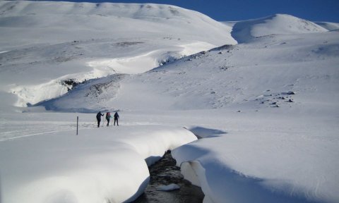 Þorvaldsdalur: Gönguskíðaferð