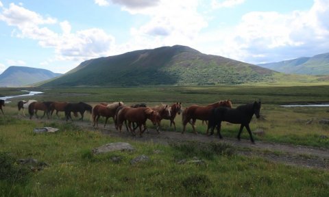 Timburvalladalur-Hjaltadalur: Fjallahjólaferð á rafhjóli -aflýst