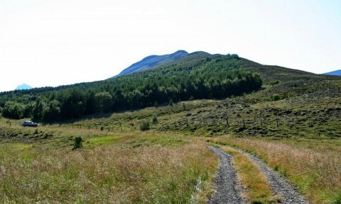 Trjá- og blómaskoðunarferð í Hörgárdal