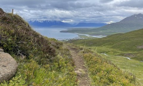 Böggvisstaðadalur - Upsadalur