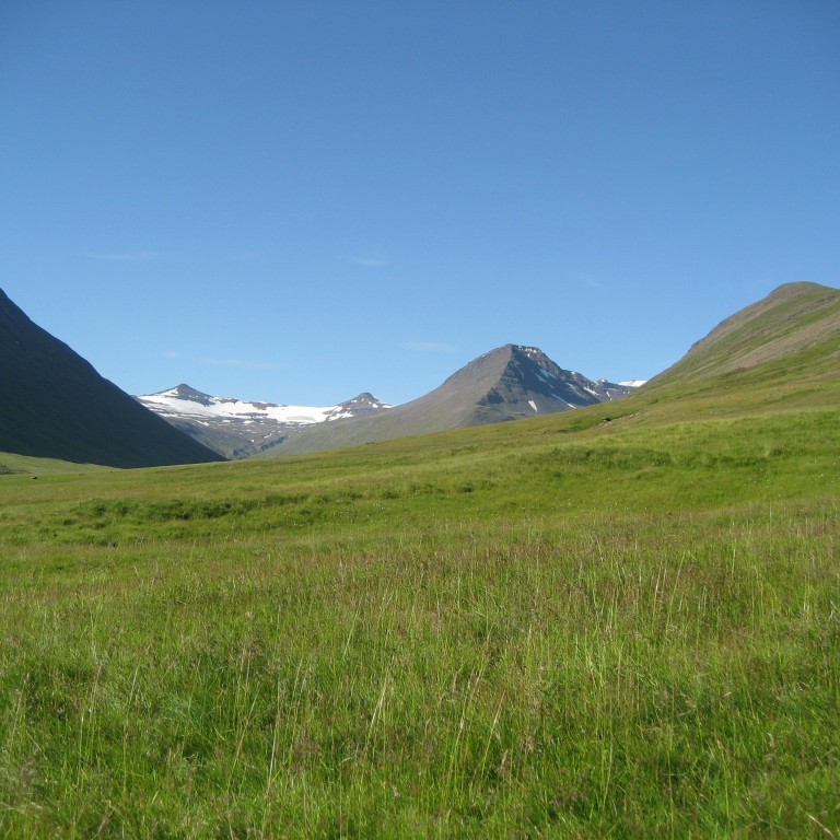 forsida-33-44ea0ebe9c2e9-1