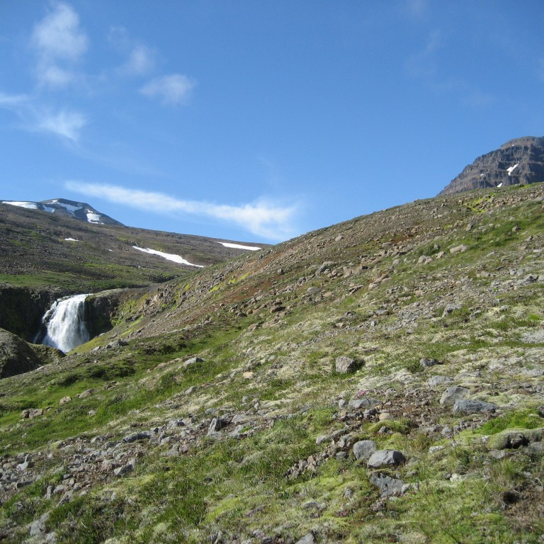 forsida-33-44ea0f1ad8e15-1