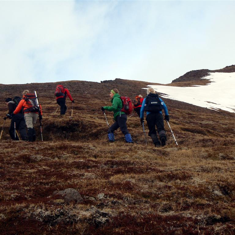 Í góðu gangfæri á mosagrónum hryggnum