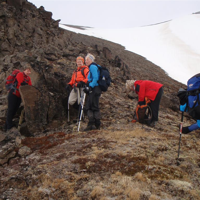 Góður útsýnisstaður - ef ekki væri þokan