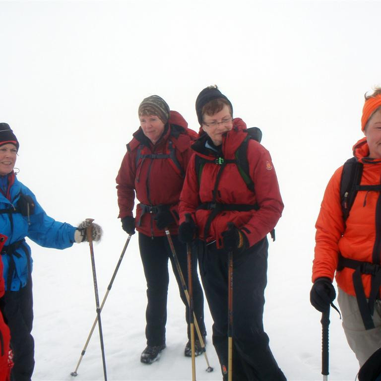 Vasklgur hópur á heimleið af Illagilsfjalli