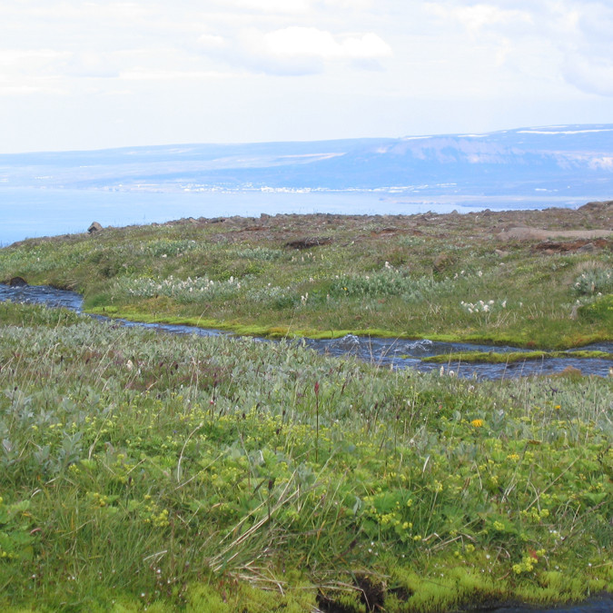 forsida-59-46b2952a82db9-1