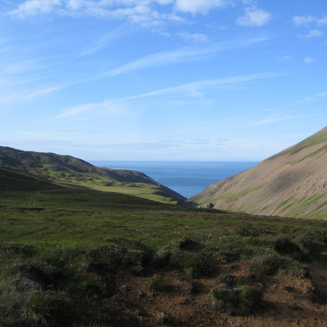 forsida-59-46b295c756fb1-1