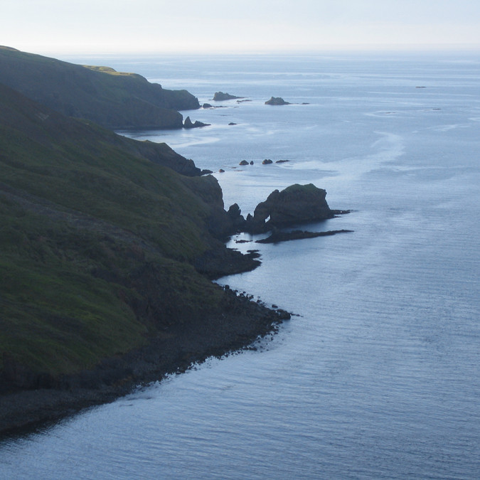 forsida-59-46b2964981871-1