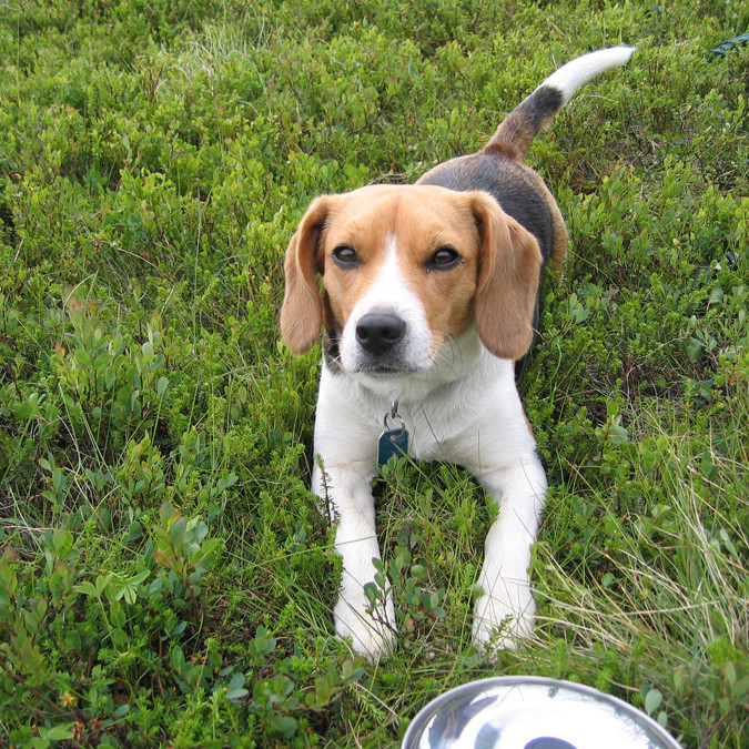 forsida-59-46b29715dd814-1