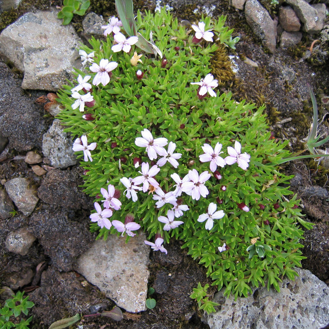 forsida-59-46b297aa93806-1