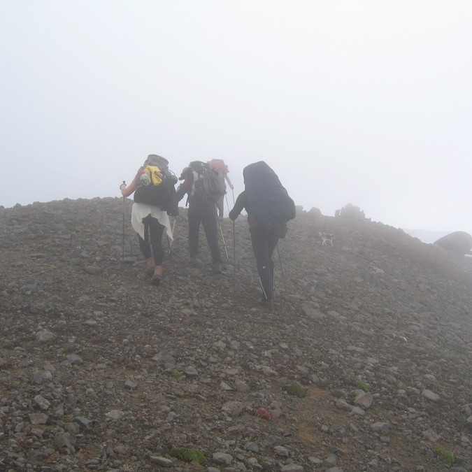 forsida-59-46b297e39469f-1